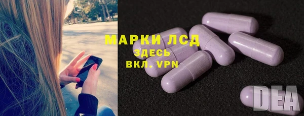 PSILOCYBIN Белокуриха