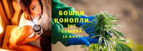 PSILOCYBIN Белокуриха