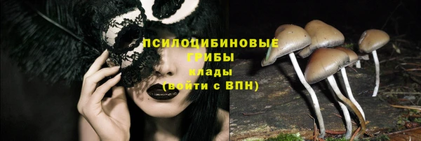 гашишное масло Богданович