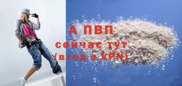 PSILOCYBIN Белокуриха