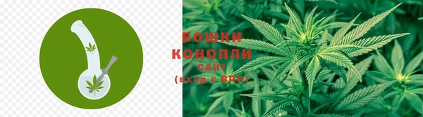 молекула духа Беломорск