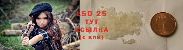 PSILOCYBIN Белокуриха