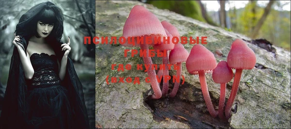 PSILOCYBIN Белокуриха