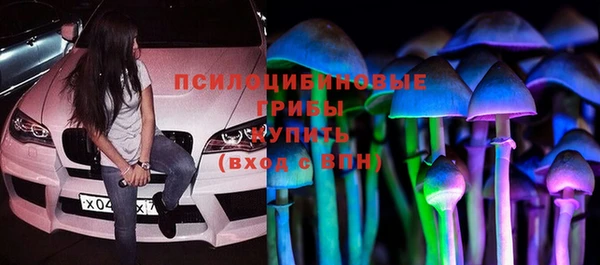 ГАЛЛЮЦИНОГЕННЫЕ ГРИБЫ Белоозёрский