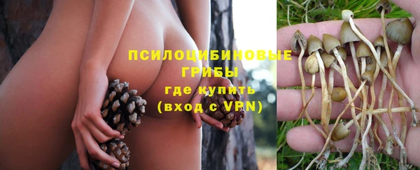 таблы Богородск