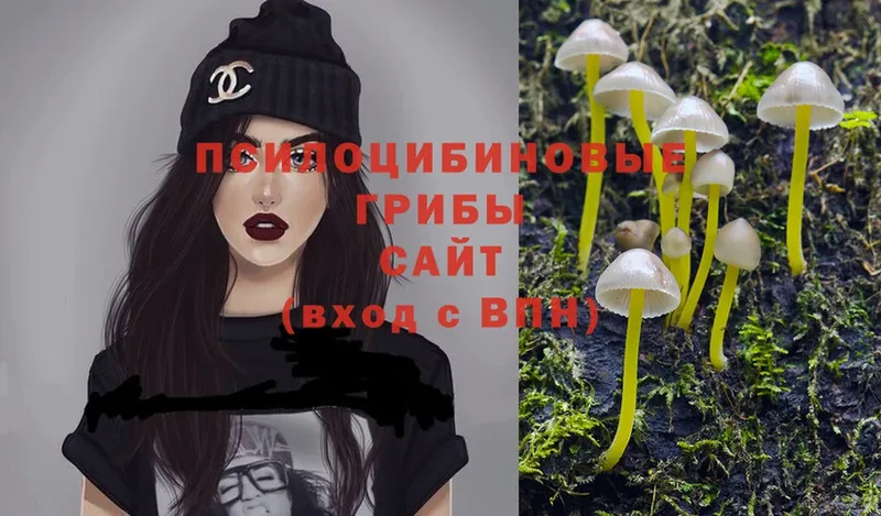 Галлюциногенные грибы MAGIC MUSHROOMS  Вуктыл 