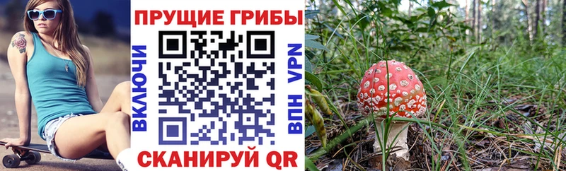Галлюциногенные грибы прущие грибы  Вуктыл 